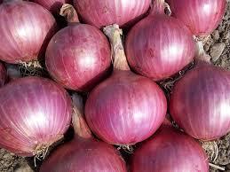Small Onion